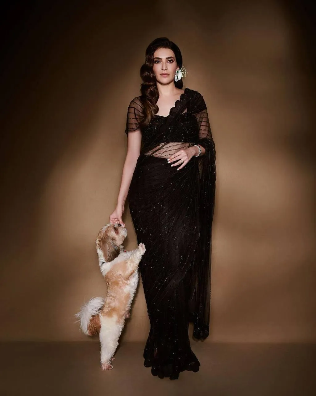 Black Georgette Premium Luxury Sequins Saree